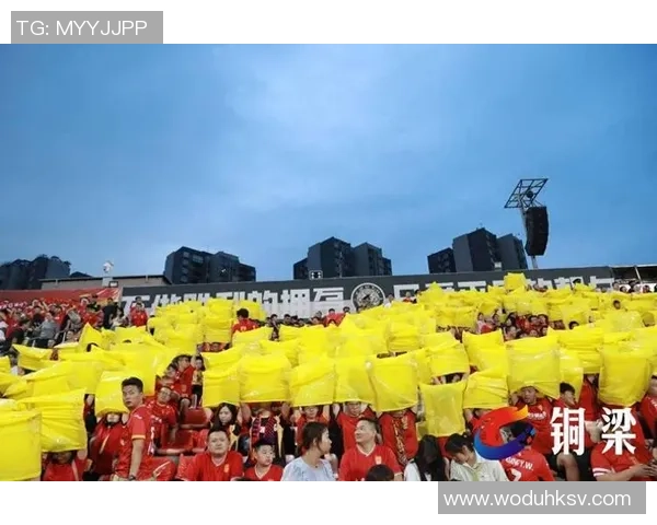 重庆足球队灵活性引发热议球迷与专家观点交锋探讨球队未来发展方向