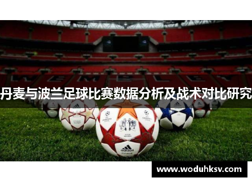 丹麦与波兰足球比赛数据分析及战术对比研究