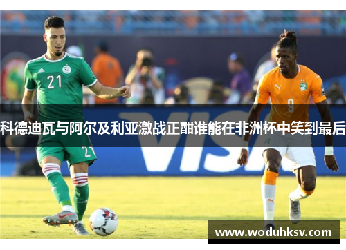 科德迪瓦与阿尔及利亚激战正酣谁能在非洲杯中笑到最后