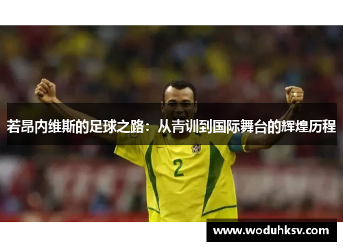 若昂内维斯的足球之路：从青训到国际舞台的辉煌历程